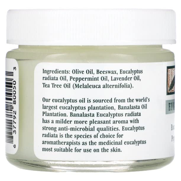 Authentic USA imported herbal chest ointment twin pack displaying brand label packaging