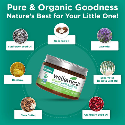 Wellements baby chest balm texture showing smooth organic shea butter base