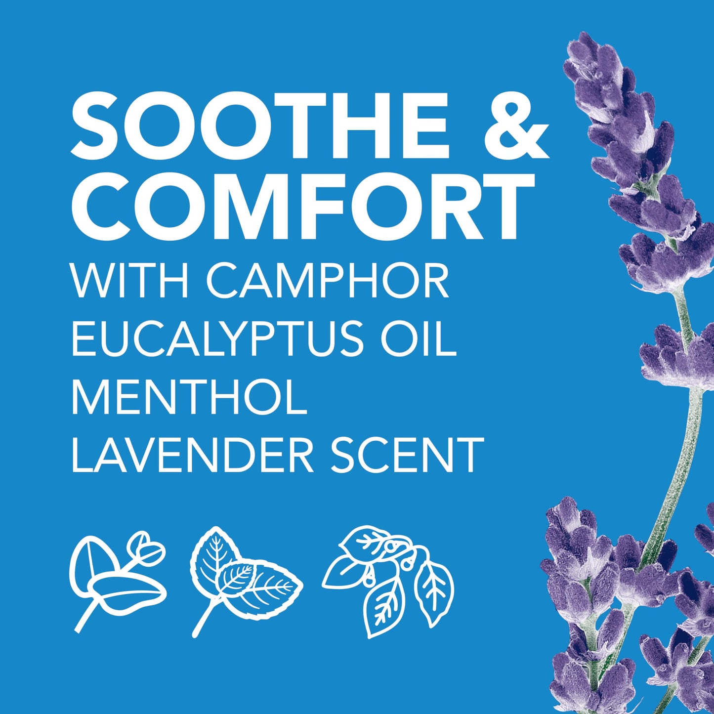 Vicks Lavender chest rub label showing active cold relief ingredients