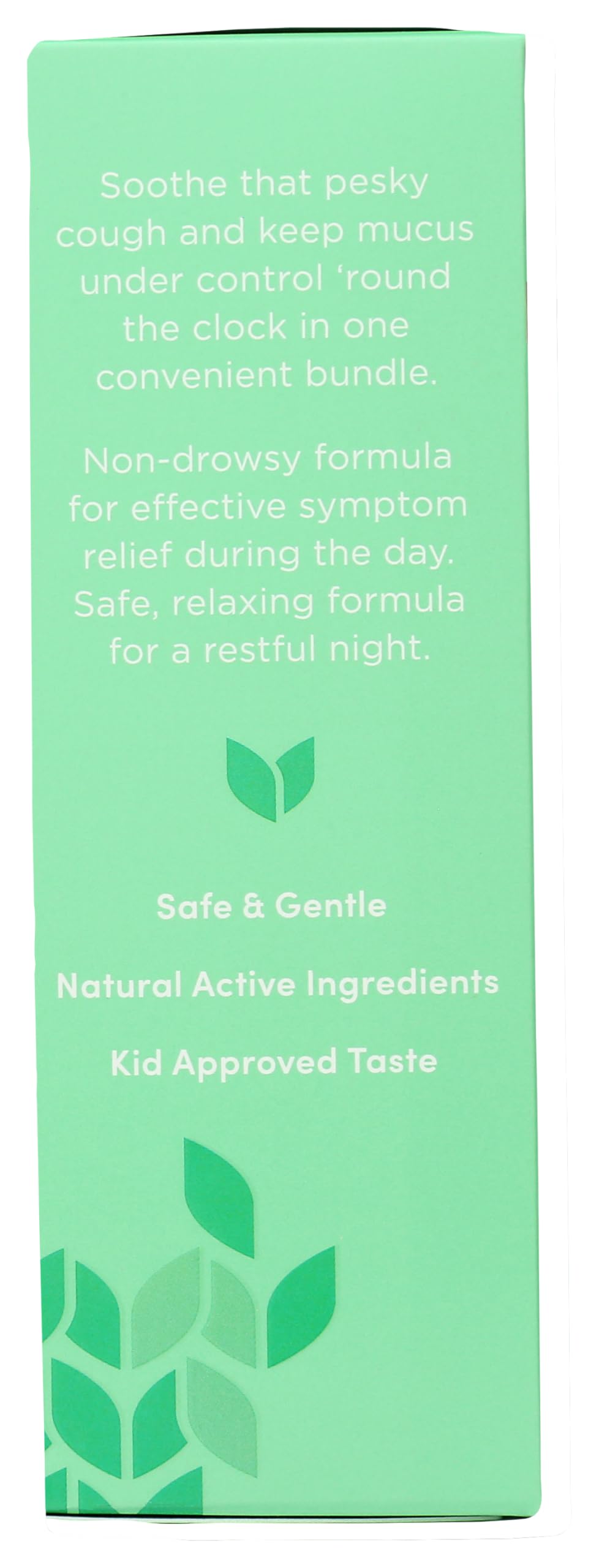 Authentic USA imported Hyland's children congestion syrup dye-free and sugar-free formula box