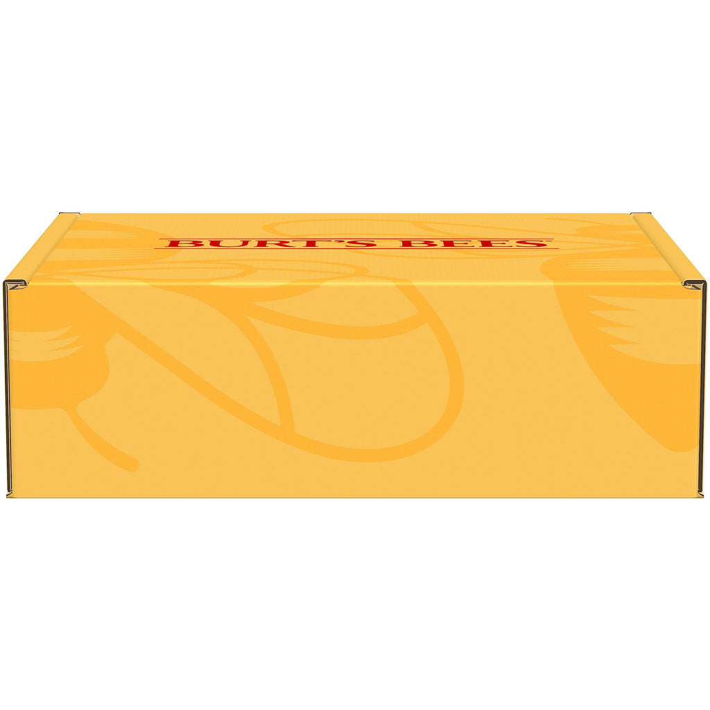 Burt's Bees Cold Sore Treatment kit unboxed highlighting daytime protection patches and nighttime soothing topical balm.