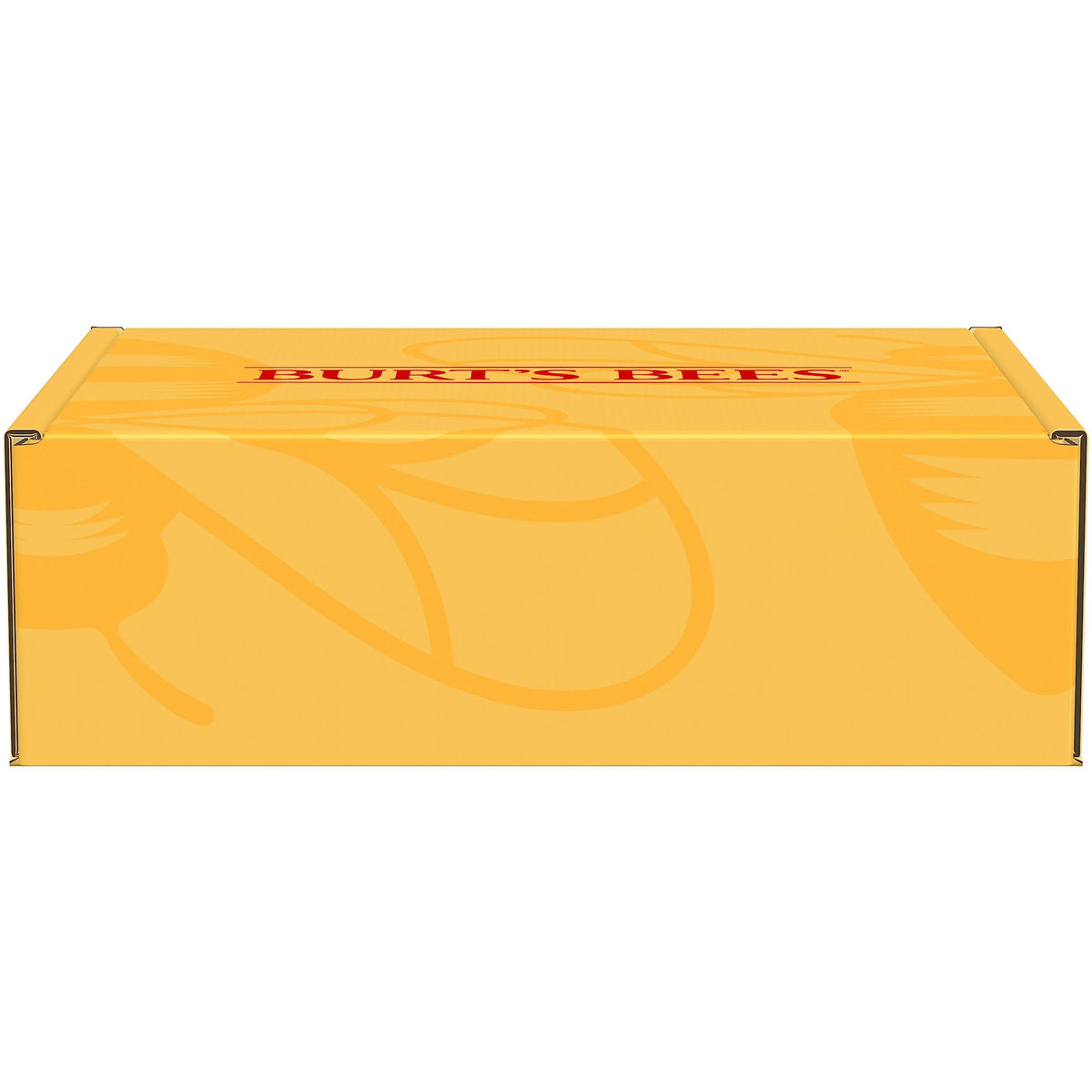 Burt's Bees Cold Sore Treatment kit unboxed highlighting daytime protection patches and nighttime soothing topical balm.