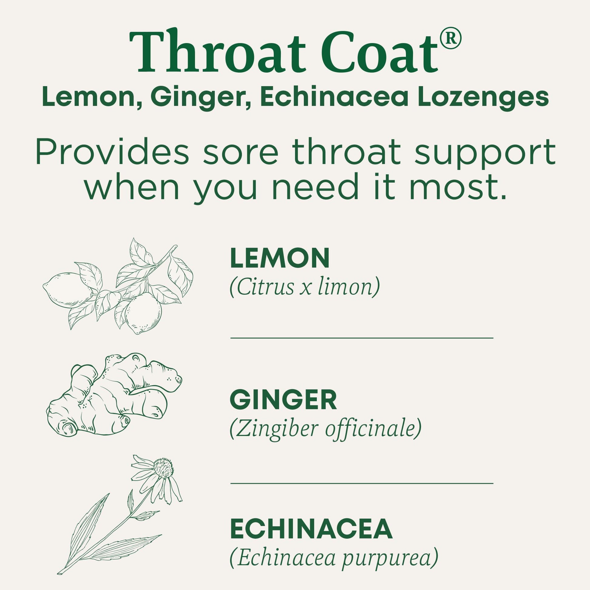 Traditional Medicinals oral demulcent throat drops for sore throat relief close up packaging