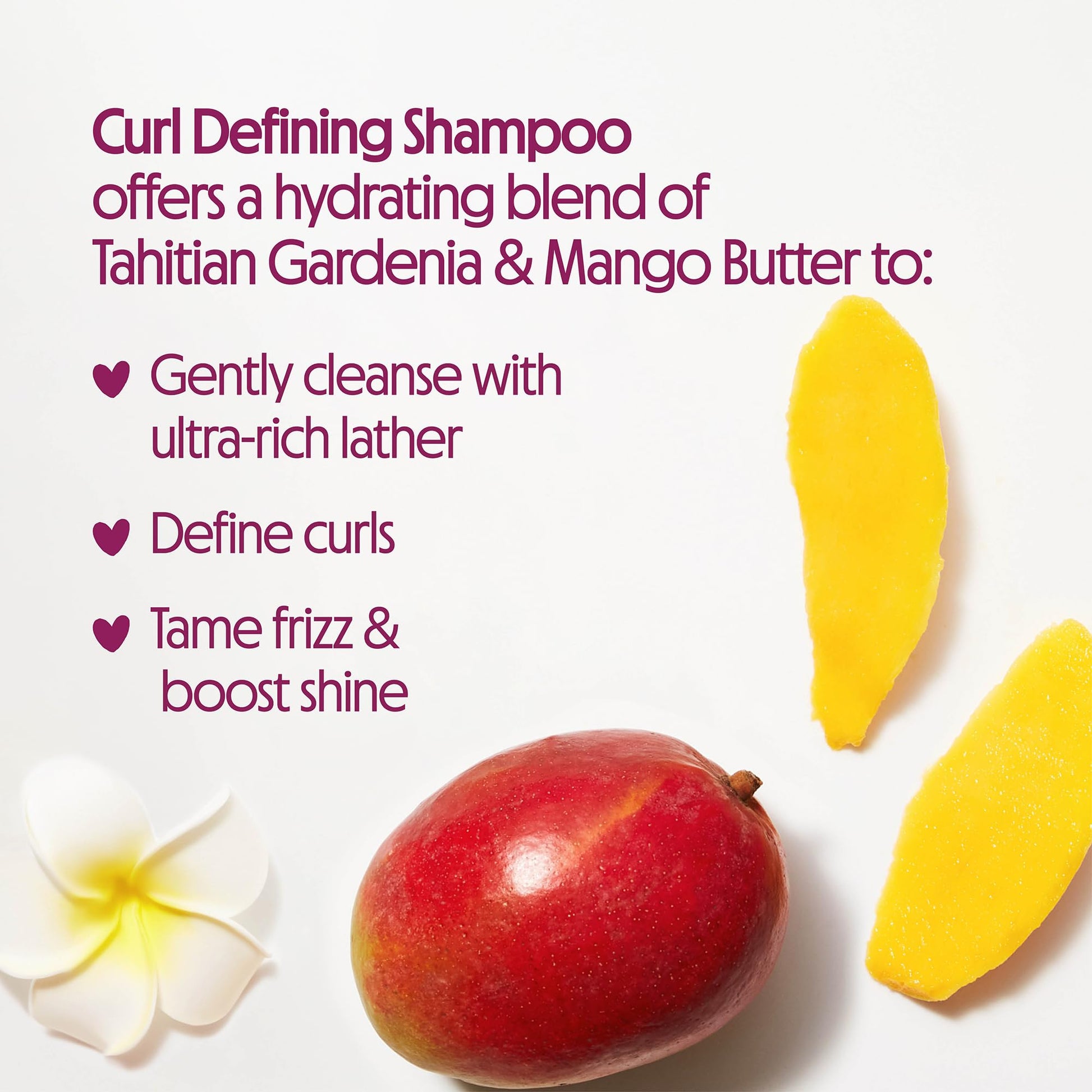 Sulfate free curl definition shampoo and conditioner two pack by Not Your Mother's