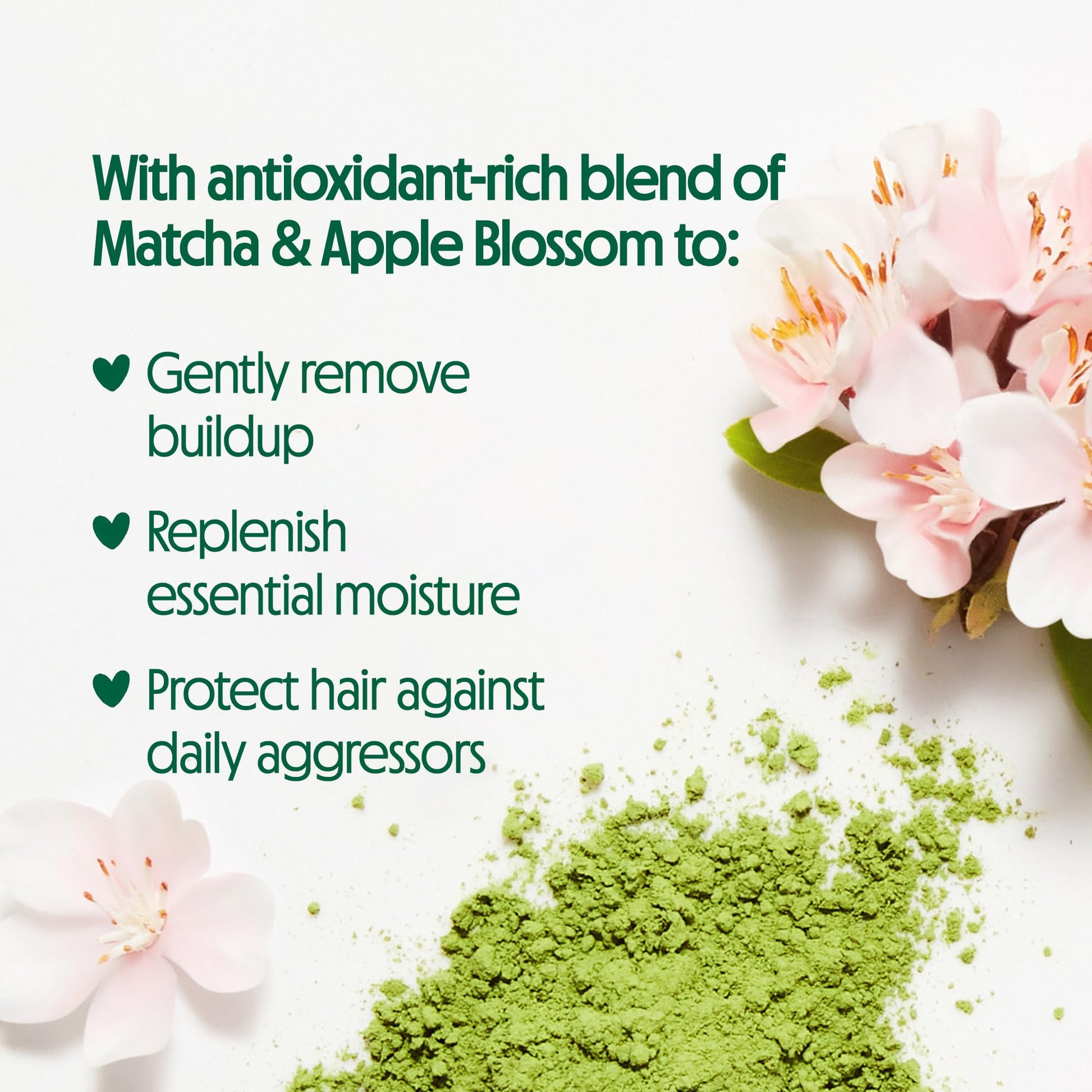 Not Your Mother's Matcha Green Tea and Apple Blossom hair care duo bottles
