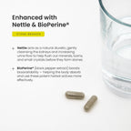 NutraChamps Stone Breaker capsules showcasing non-GMO and third-party tested safety seals.