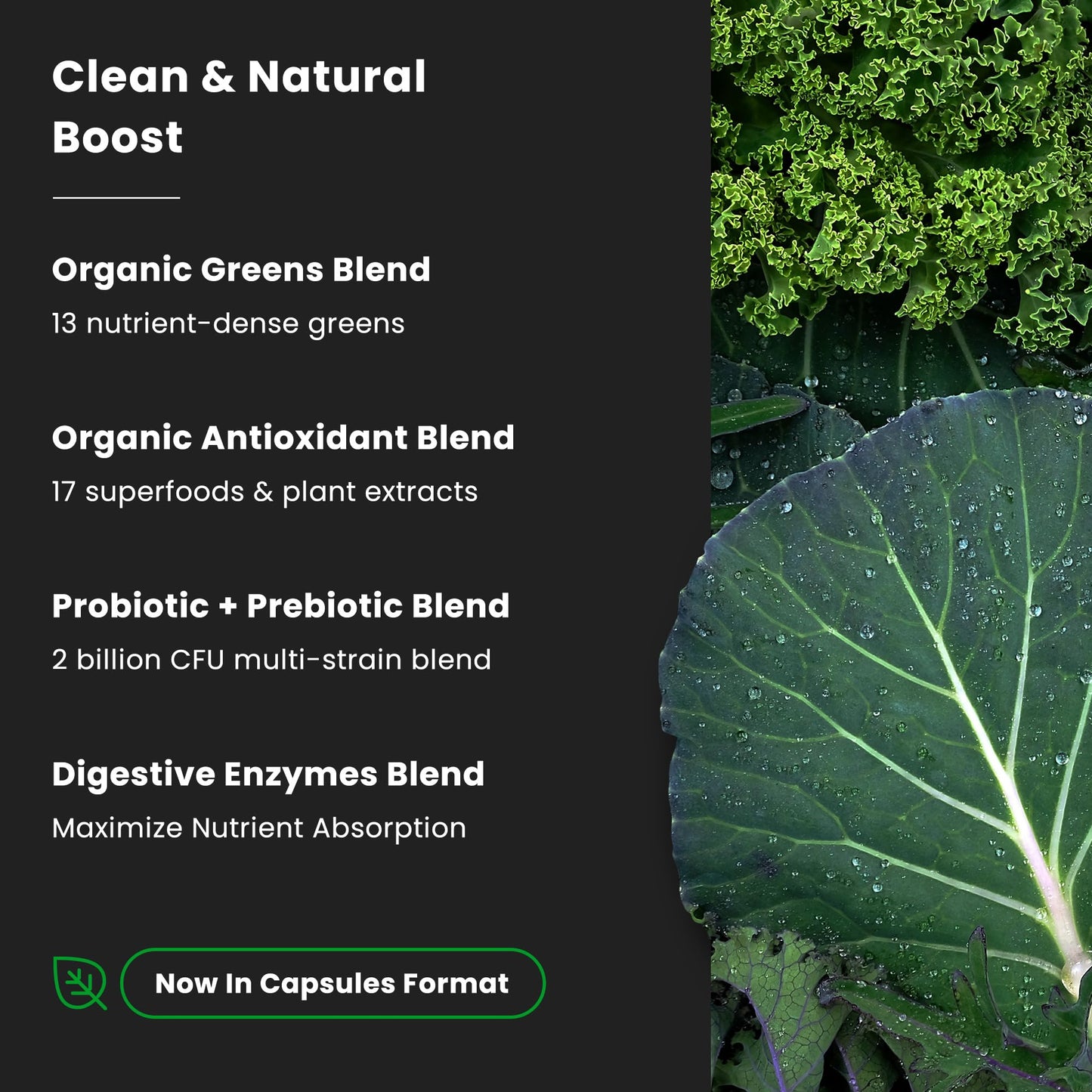 NutraChamps whole food greens supplement bottle indicating the non-GMO and vegan formula properties.