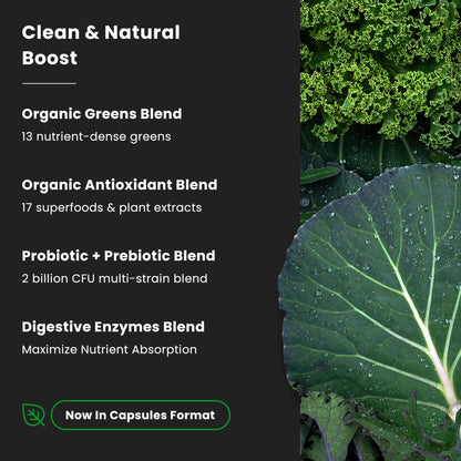 NutraChamps whole food greens supplement bottle indicating the non-GMO and vegan formula properties.