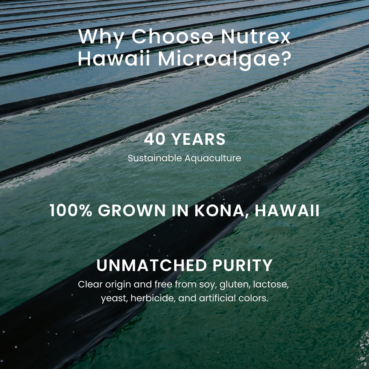 Nutrex Hawaii EyeAstin softgels poured out on surface