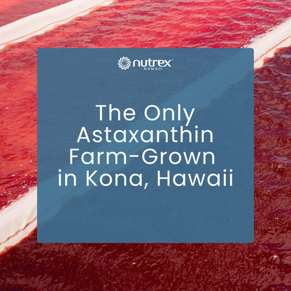 Nutrex Hawaii BioAstin high potency antioxidant supplement for premium skin and immune defense