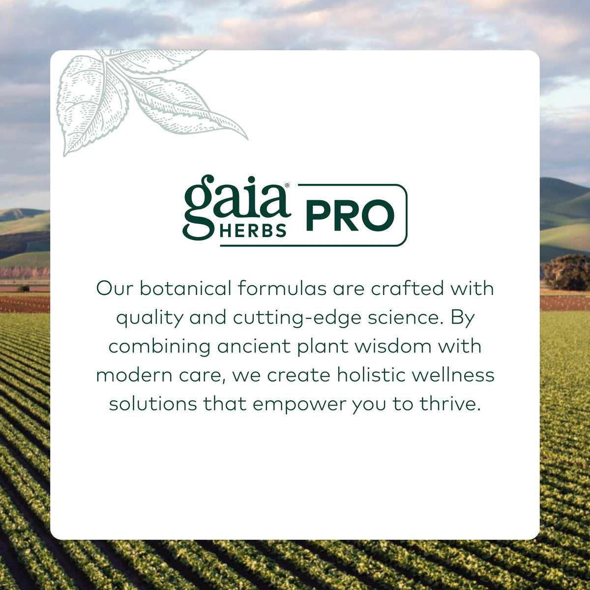 Gaia Herbs Pro Vitex Pro complete retail box and bottle presentation