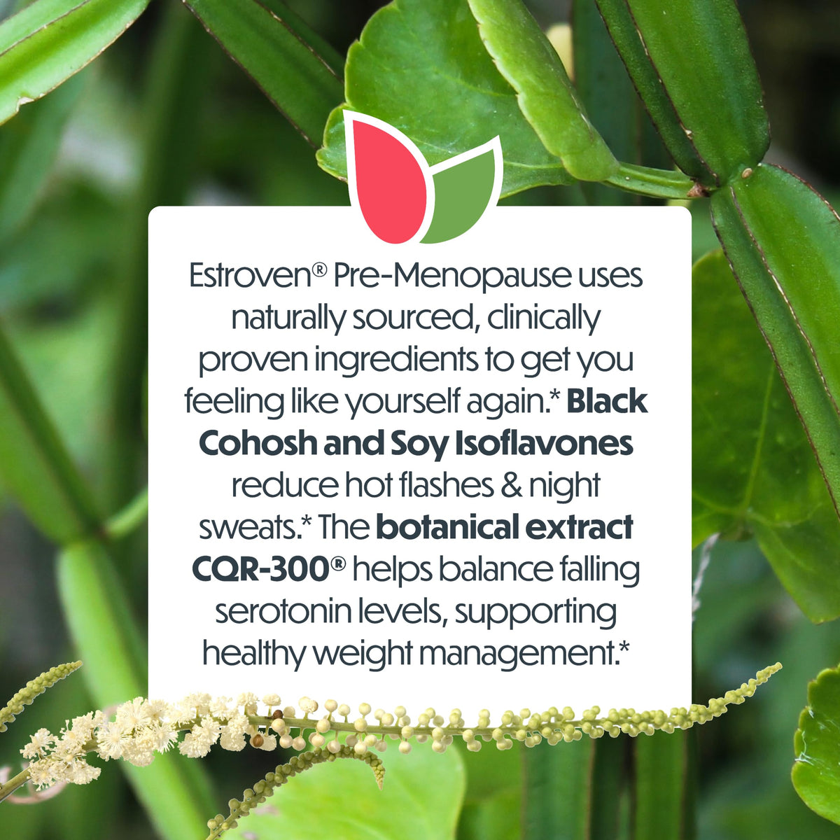 Authentic USA sourced Estroven health supplement display