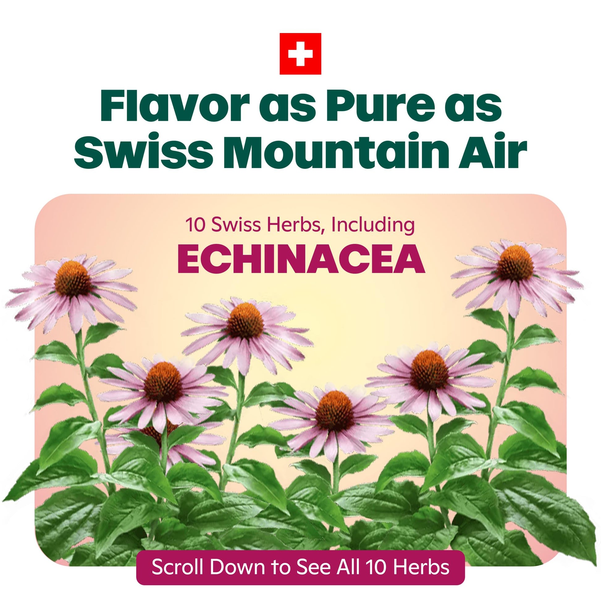 Ricola family size cough suppressant bag showing real honey and lemon imagery.