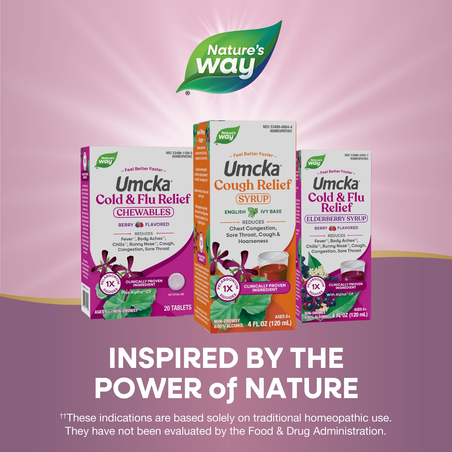 Full packaging box of Nature's Way Umcka Cold Relief product demonstrating genuine imported quality