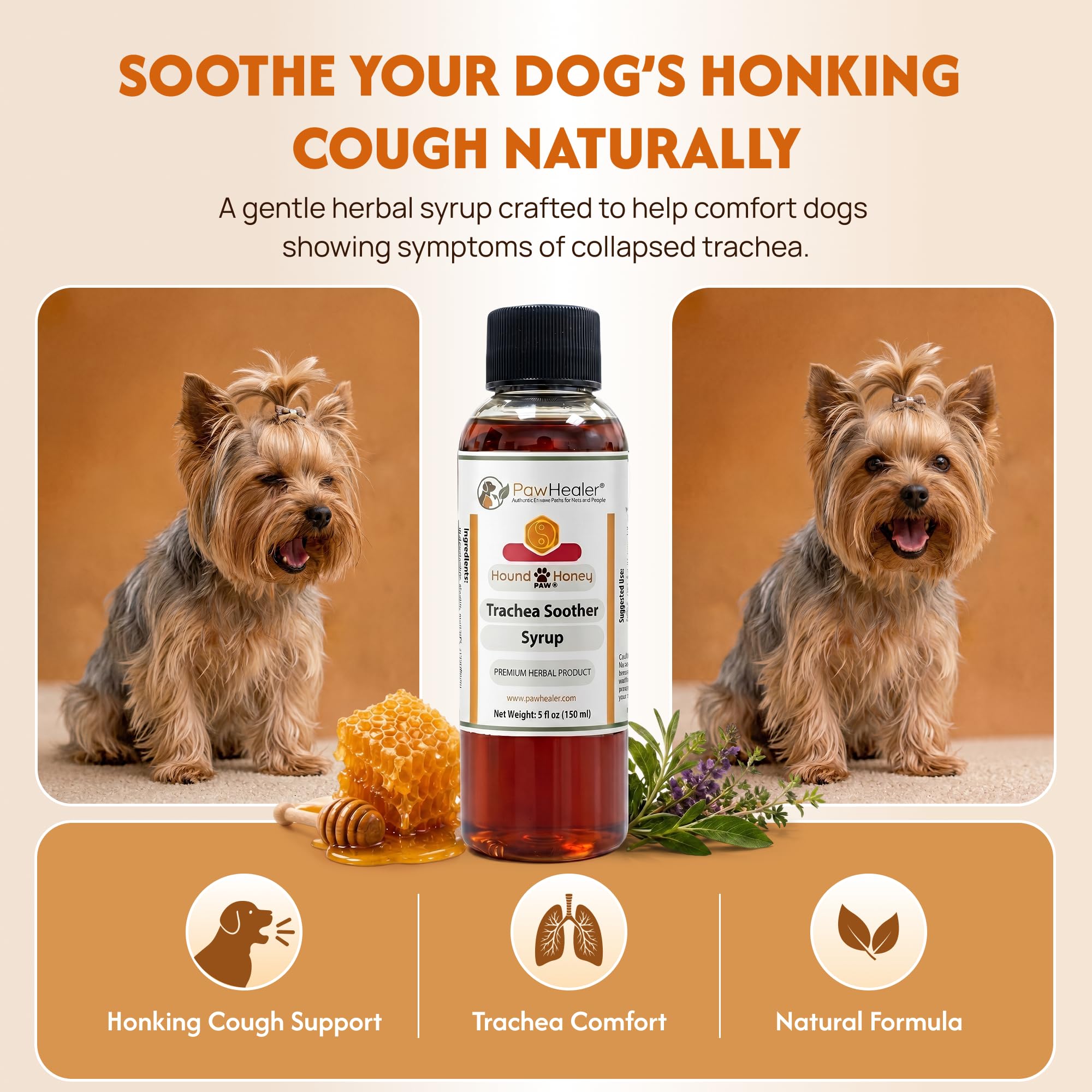 PawHealer Hound Honey packaging showing natural herbal ingredients for collapsed trachea symptoms