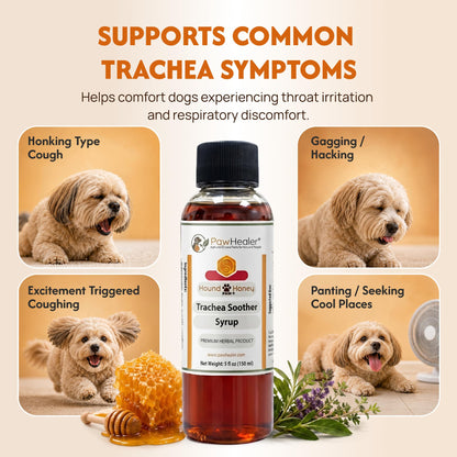 Side view of PawHealer Trachea Soother liquid syrup for dogs suffering from honking cough