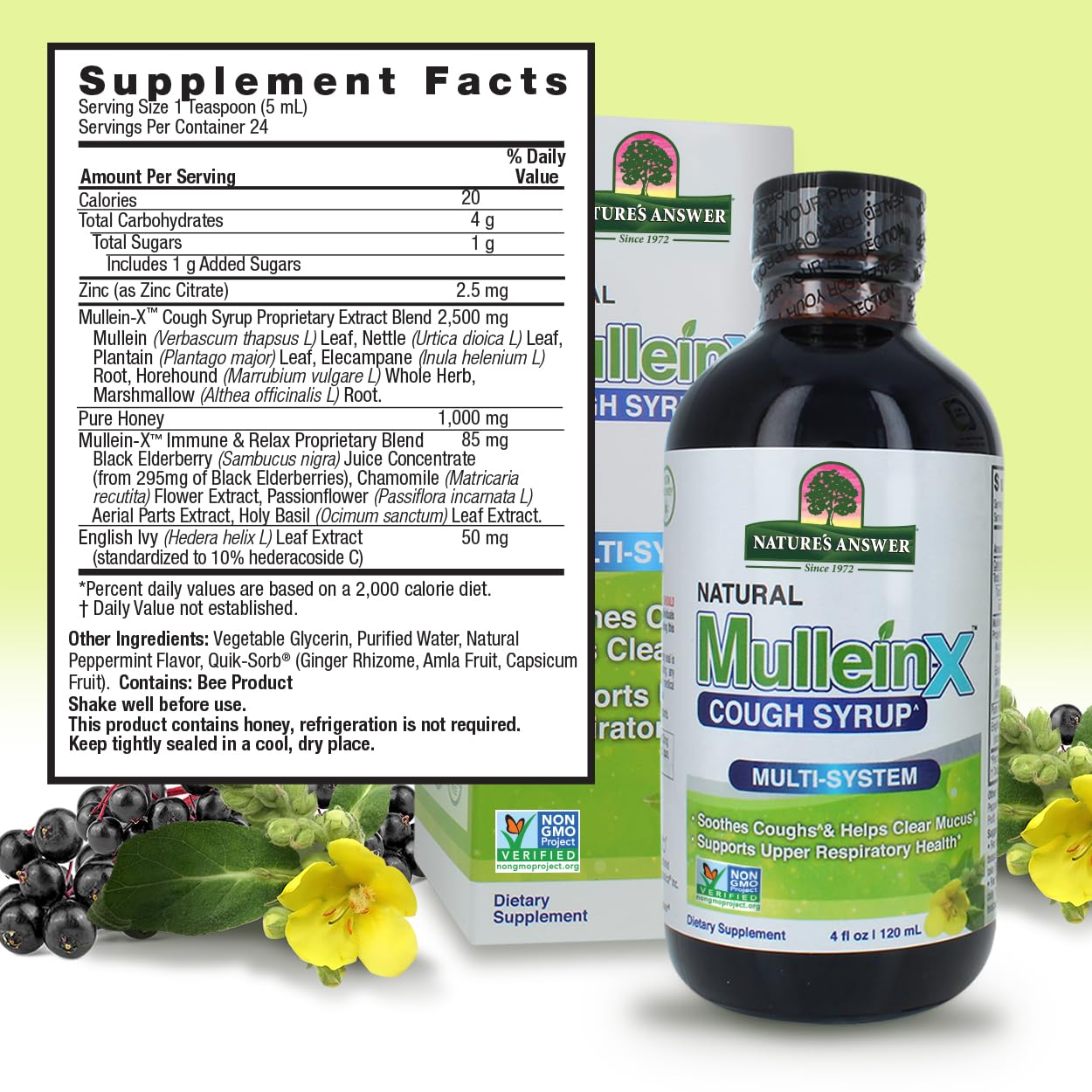 Back label of Nature's Answer Mullein-X showing supplement facts and Quik-Sorb absorption technology