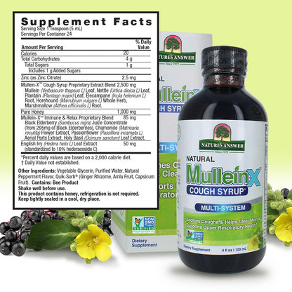 Back label of Nature's Answer Mullein-X showing supplement facts and Quik-Sorb absorption technology