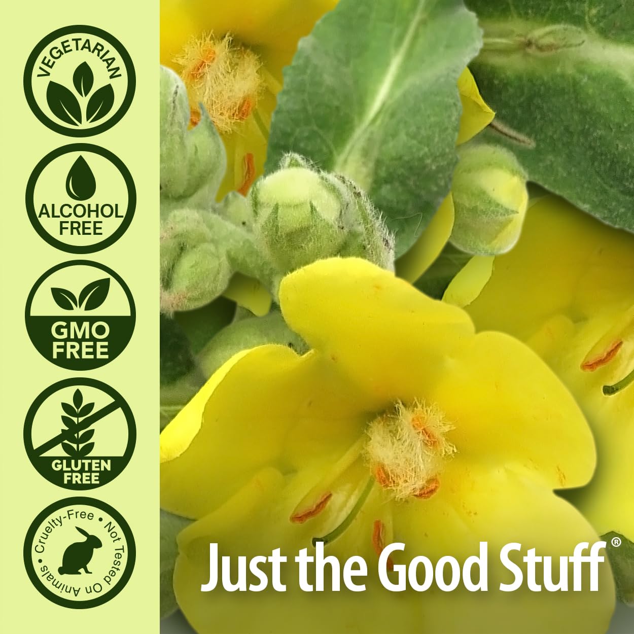 Pouring Nature's Answer Mullein-X natural mucus clearing liquid supplement for airway relief