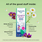 Hyland's kids nighttime homeopathic medicine with measuring dosing cup