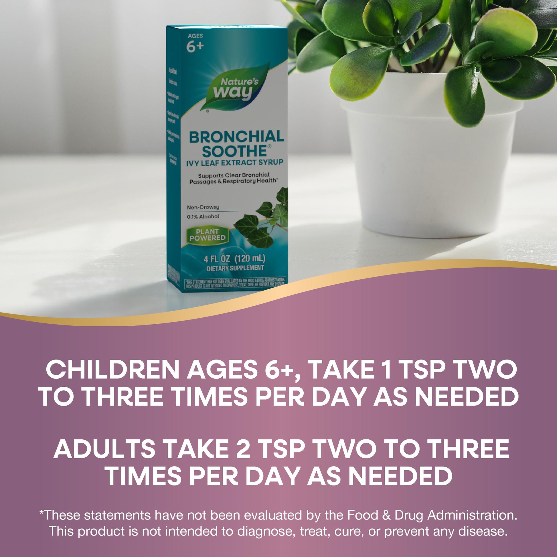 Nature's Way Bronchial Soothe four fluid ounce bottle side panel ingredients list