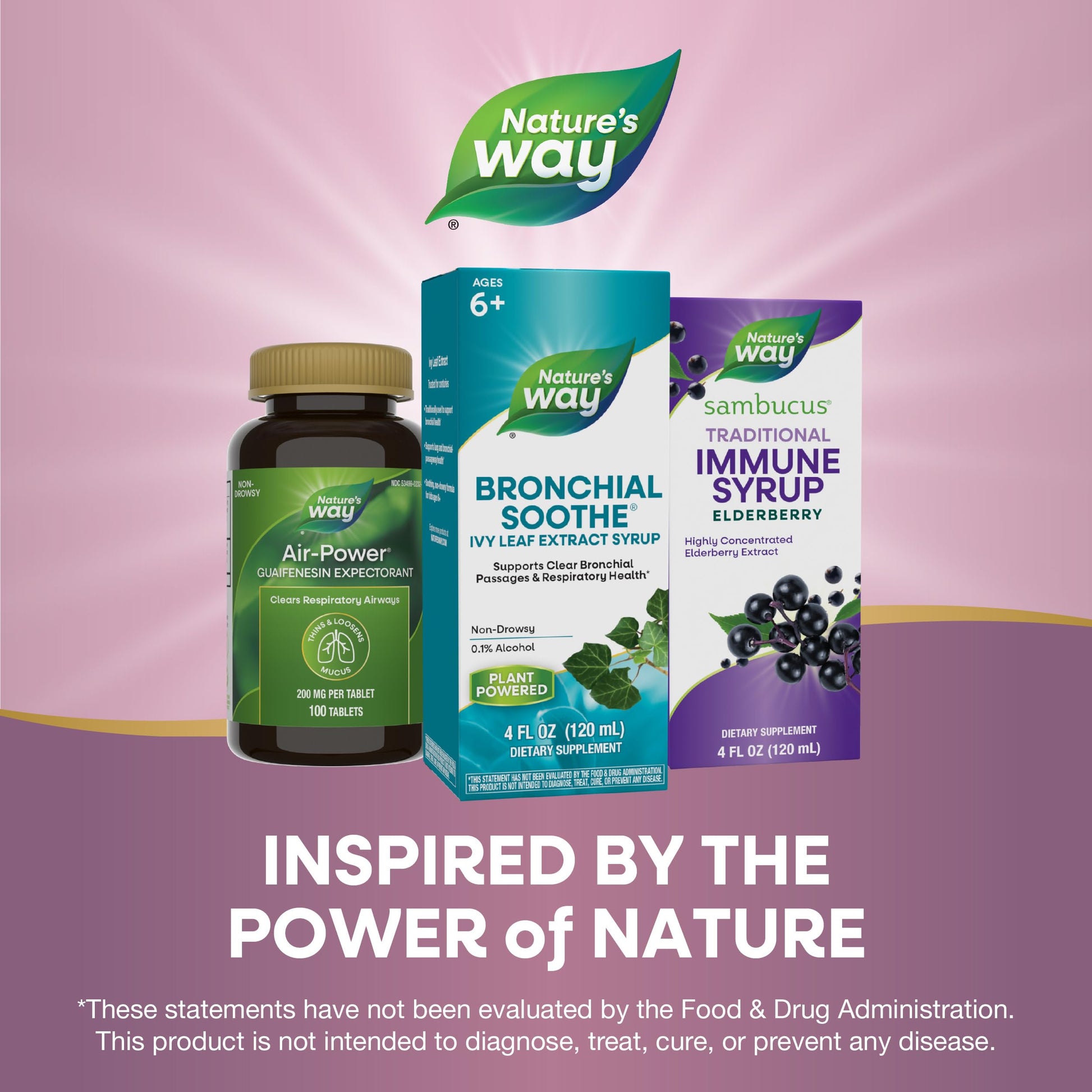 Enzymatic Therapy plant powered respiratory syrup for adults and kids age six plus
