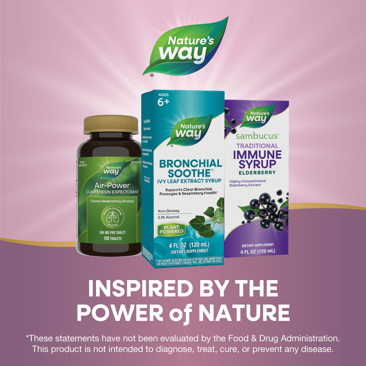 Enzymatic Therapy plant powered respiratory syrup for adults and kids age six plus