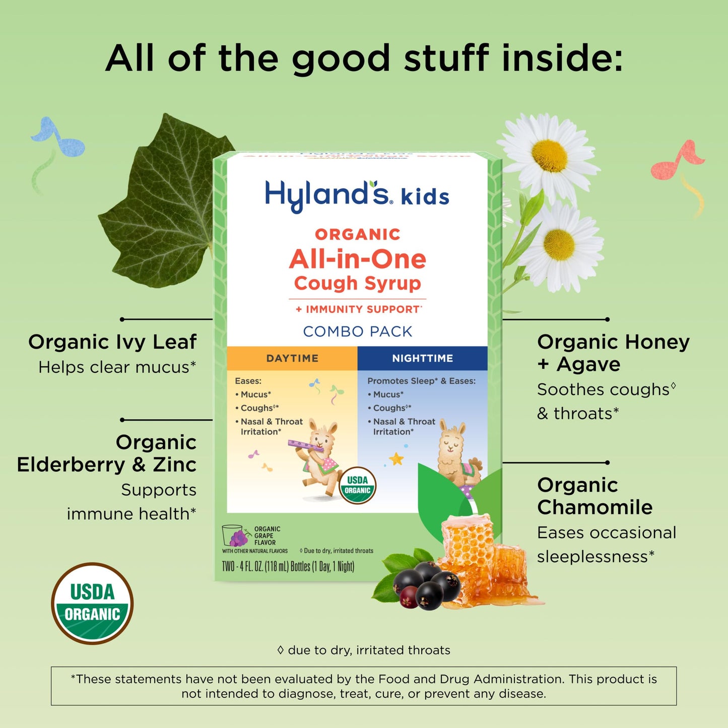 Hyland's organic kids grape cough syrup nighttime formula ingredients list