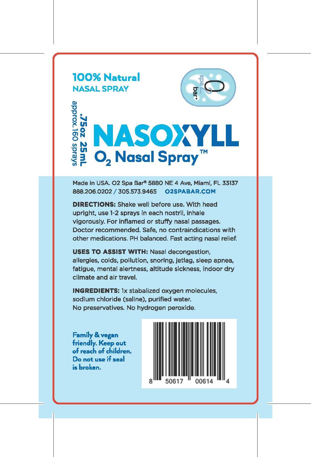 Authentic USA imported Nasoxyll oxygen nasal spray packaging highlighting 160 sprays fluid measurement.