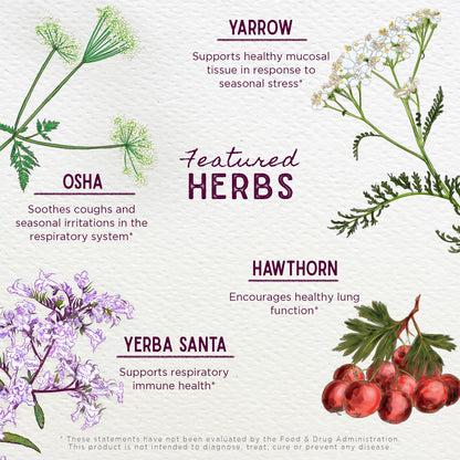 Authentic USA-imported WishGarden Herbs lung cleanse formula packaging label details