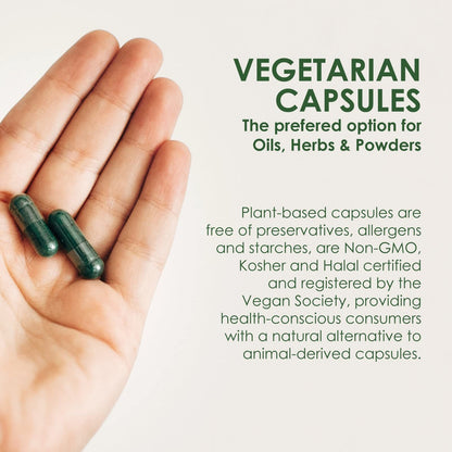 Capsuline 1000 count vegan capsules packaging display