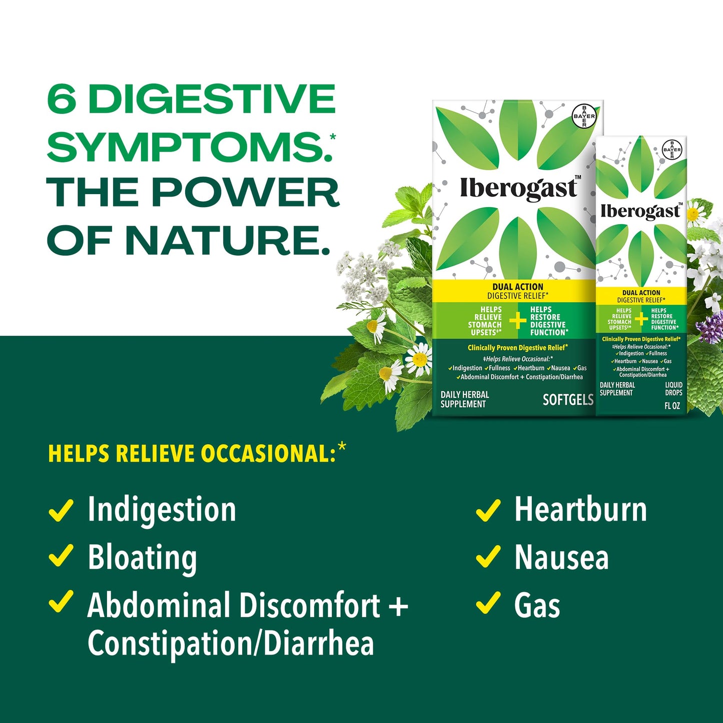 Iberogast daily herbal supplement pills for occasional indigestion support