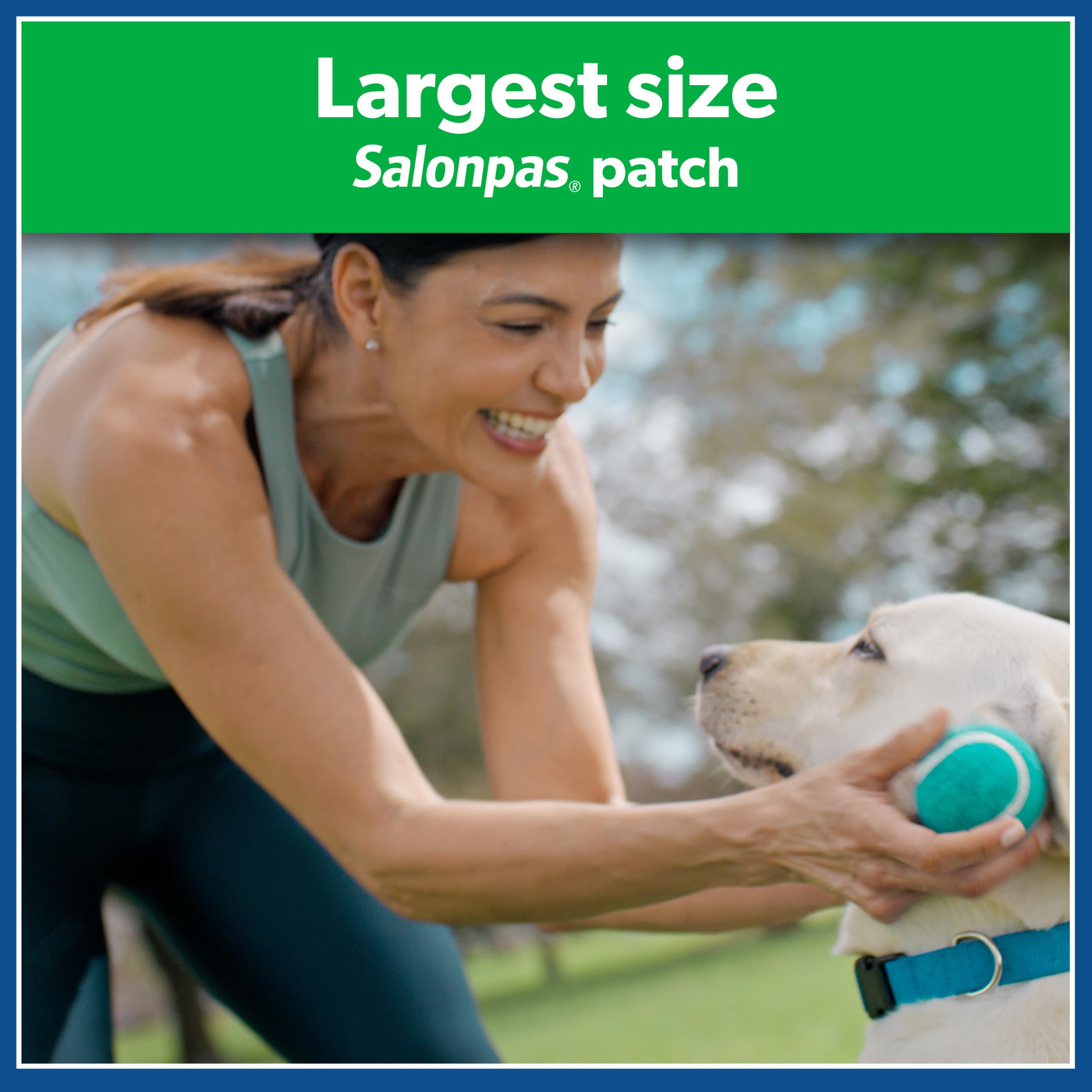 Salonpas hot pain relieving patches twelve pack packaging details and ingredient facts.