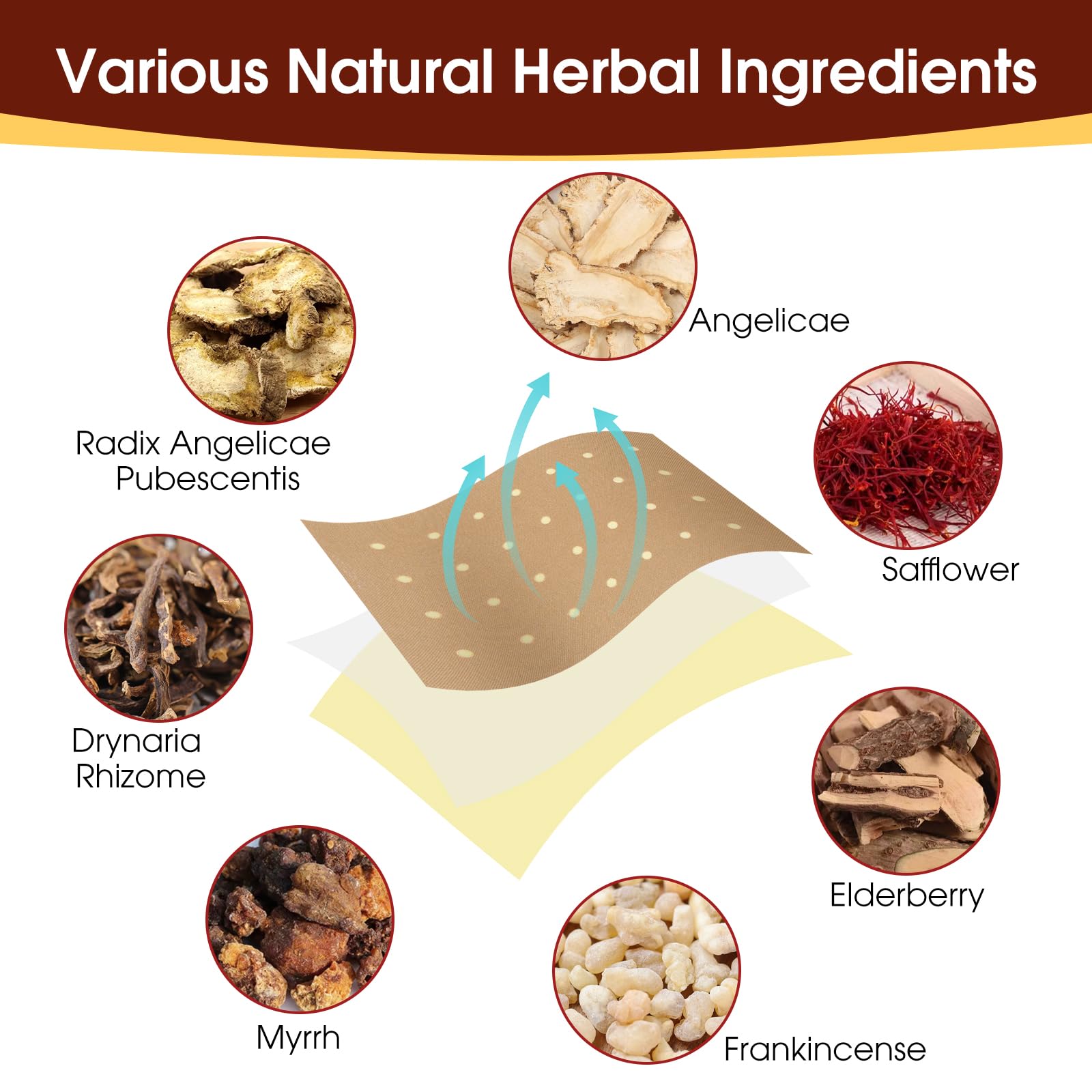 Infographic showing the eight natural herbal plant extracts used in the ultra-strength pain relief formula.