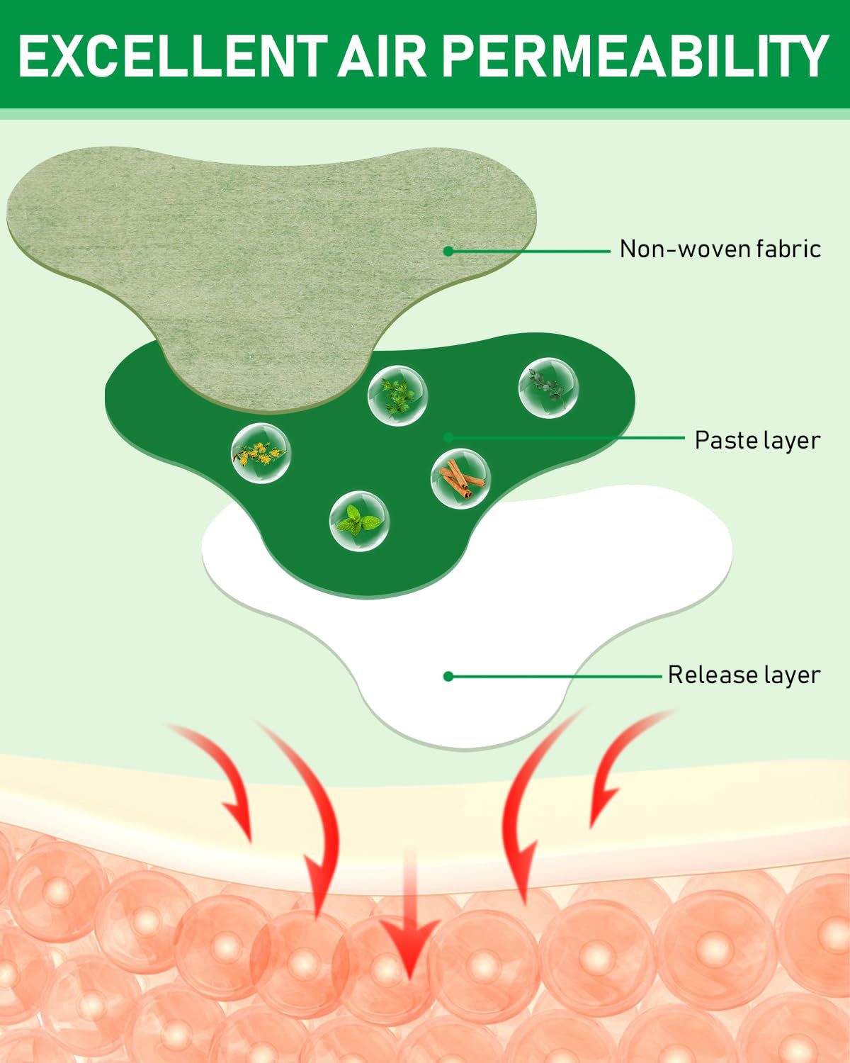 Infographic showing eight hours lasting reduction of joint discomfort on the shoulder and knee