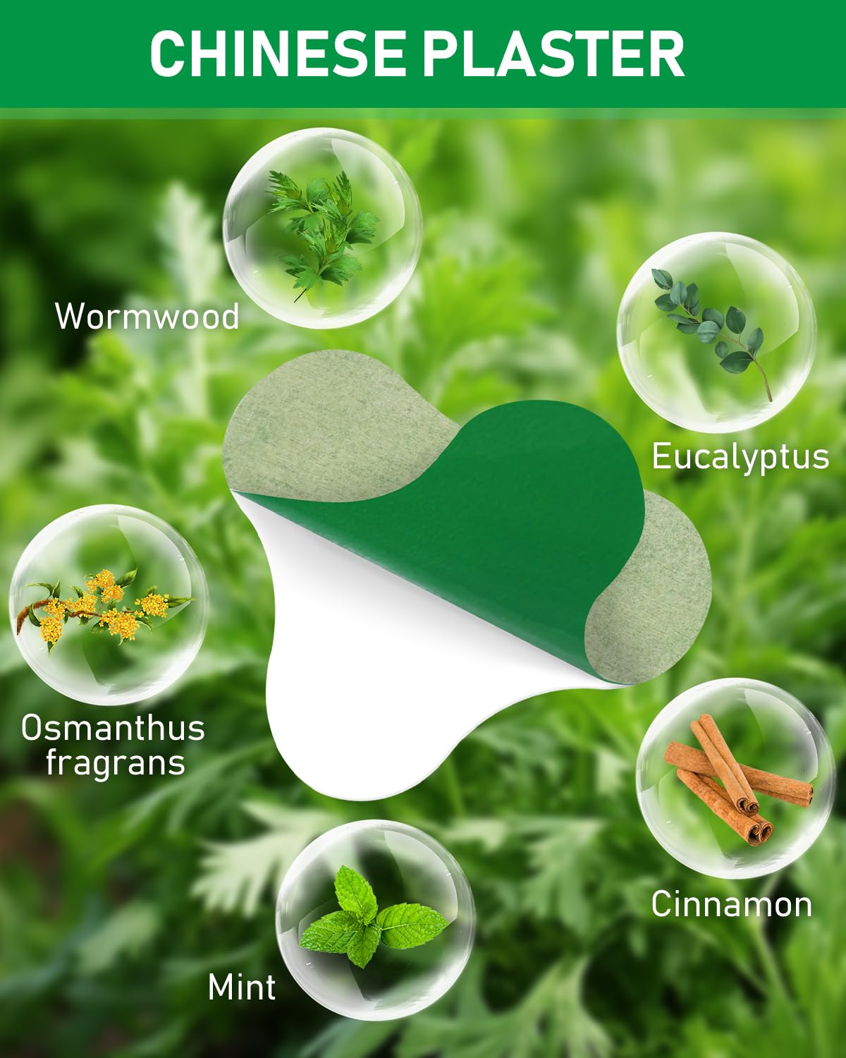 Close up of natural wormwood extract ingredient illustration on the product packaging