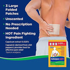 Close up view of the 3 count per pack Salonpas capsaicin product seal