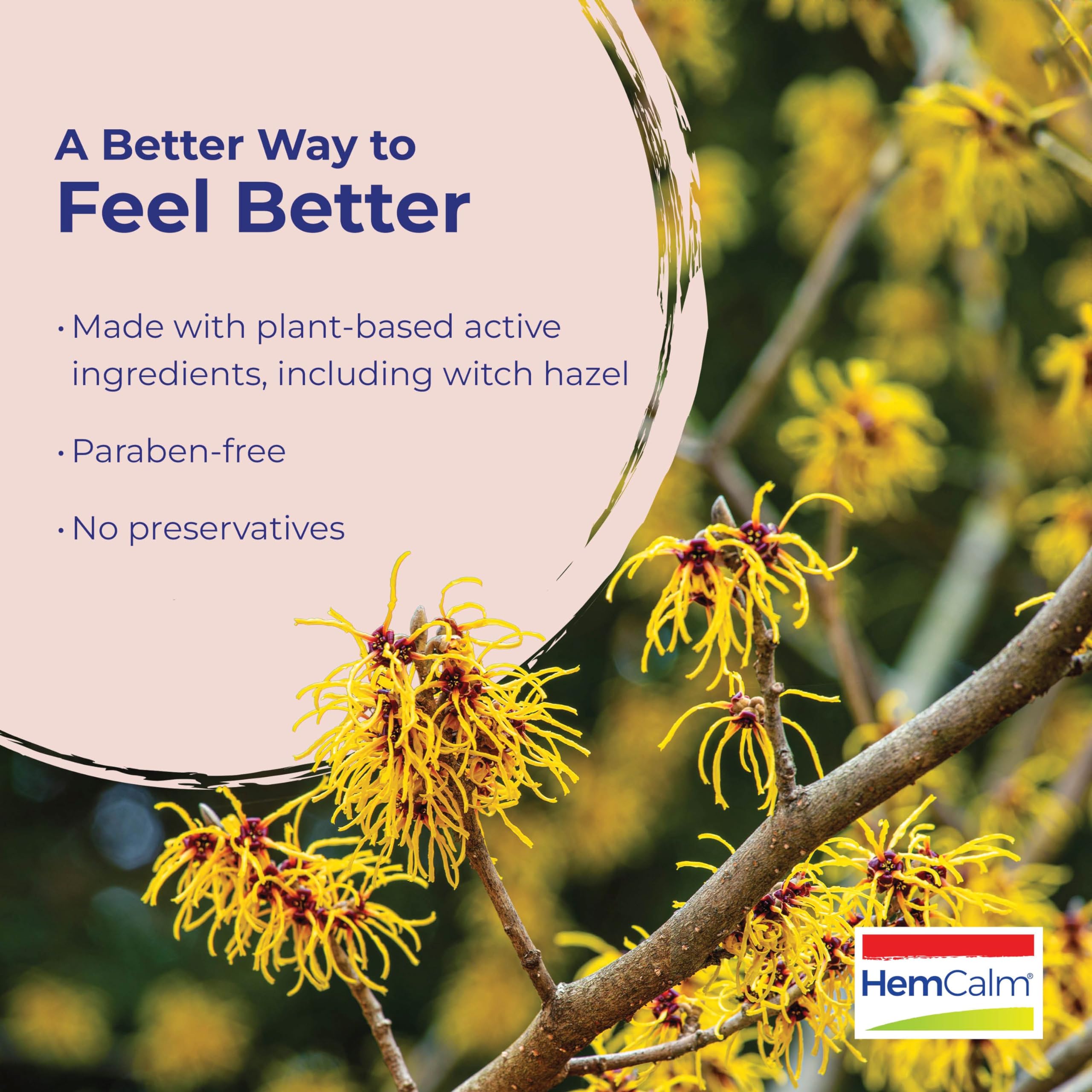 Paraben free hemorrhoid ointment packaging highlighting witch hazel formula.