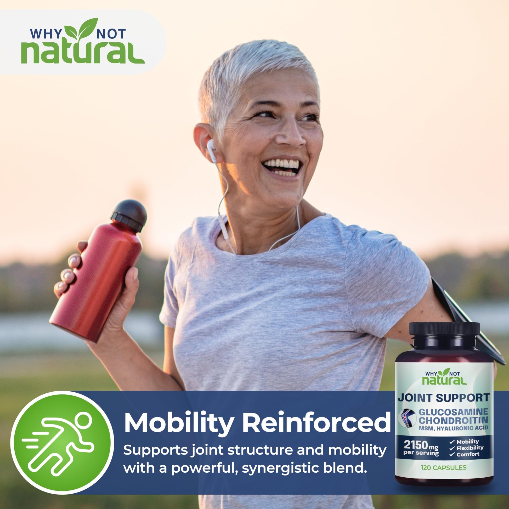 Why Not Natural USA imported joint support capsules