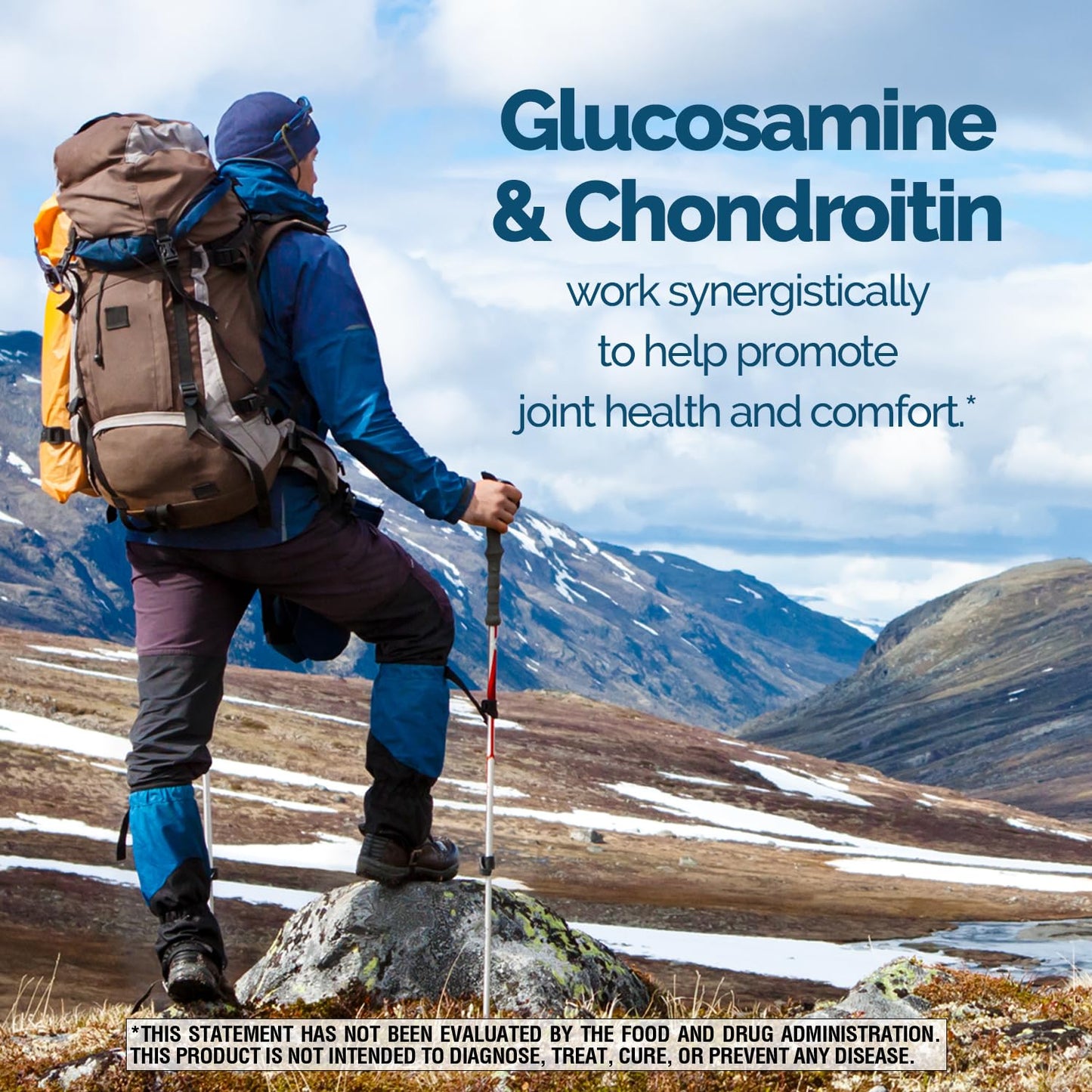 Natures Wonder Glucosamine Chondroitin MSM and Boswellia ingredient list