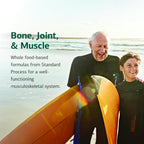 Standard Process Glucosamine Synergy packaging and brand display