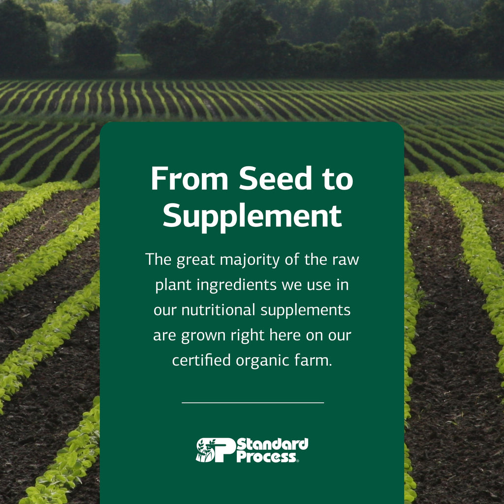 Standard Process Glucosamine Synergy product group view