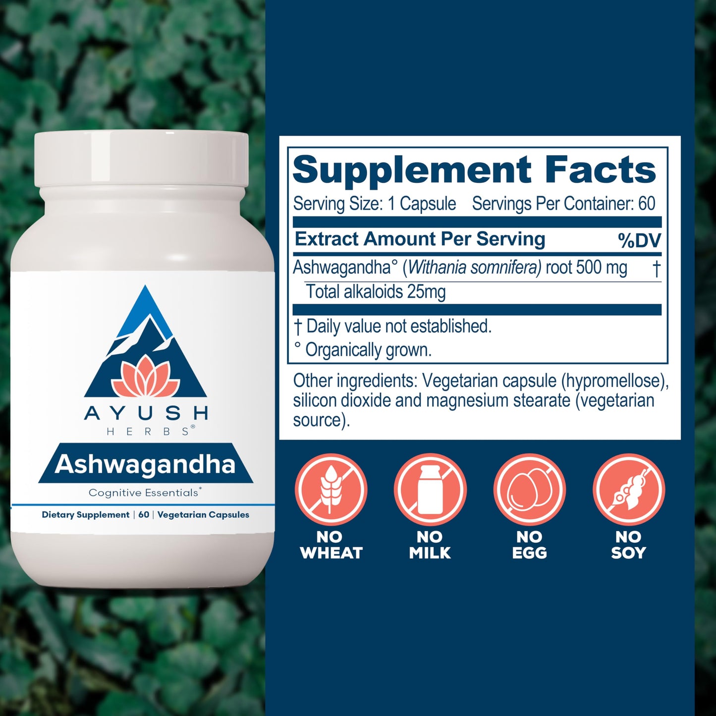 Ayush Herbs Ashwagandha organic root extract supplement for mental focus