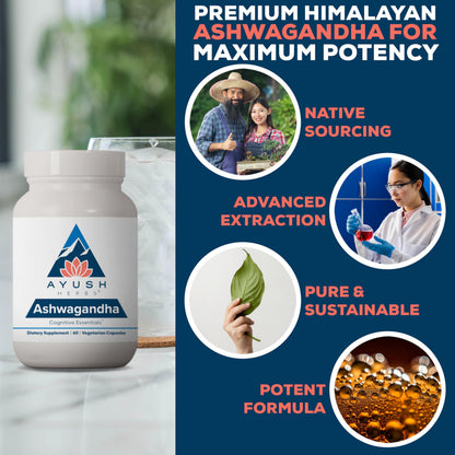 Ayush Herbs Ashwagandha adaptogenic caplets for daily energy and stamina