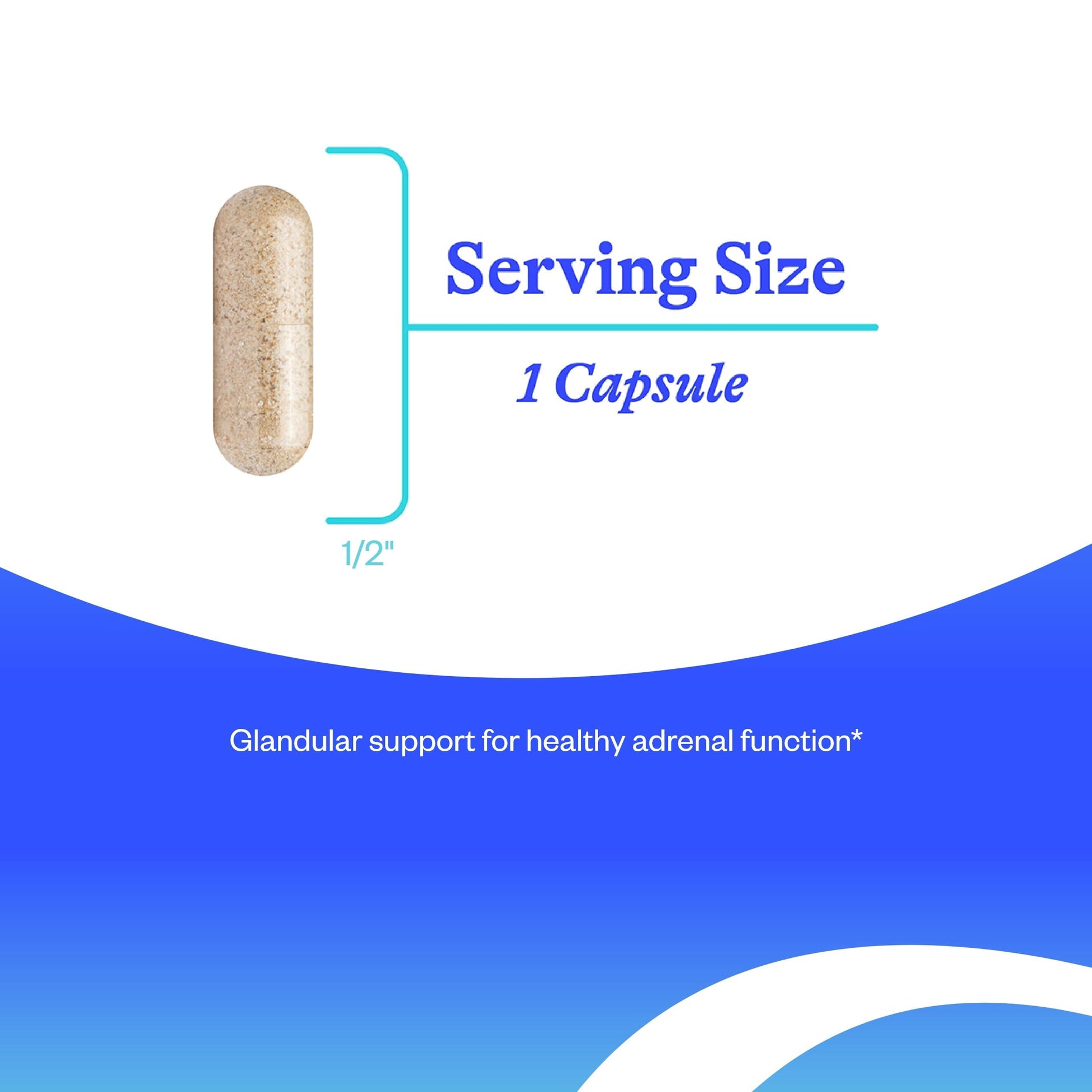 Seeking Health Adrenal Cortex 50 milligrams capsule size and details layout