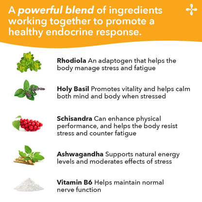 LifeSeasons Adrenal T bottle displaying gluten free and vegetarian formula certifications