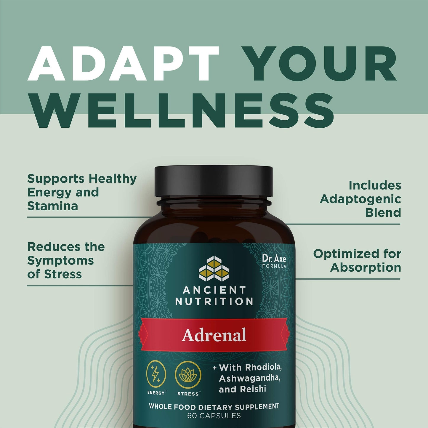 Close up of the organic adrenal botanical and adaptogenic ingredients list on the back of the bottle.