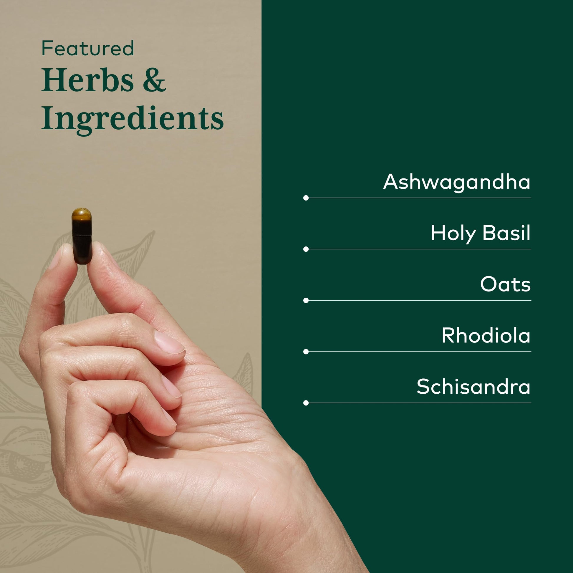 Liquid Phyto Capsules of Gaia Herbs Pro Daytime HPA adaptogen supplement close up