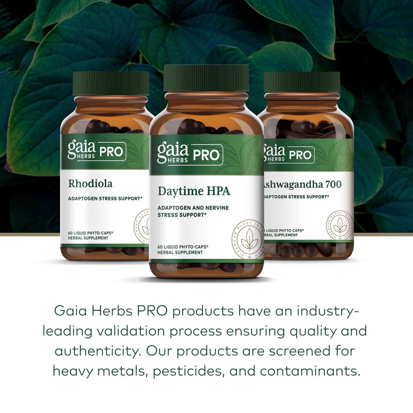 Authentic USA imported Gaia Herbs Pro supplement bottle for professional stress management