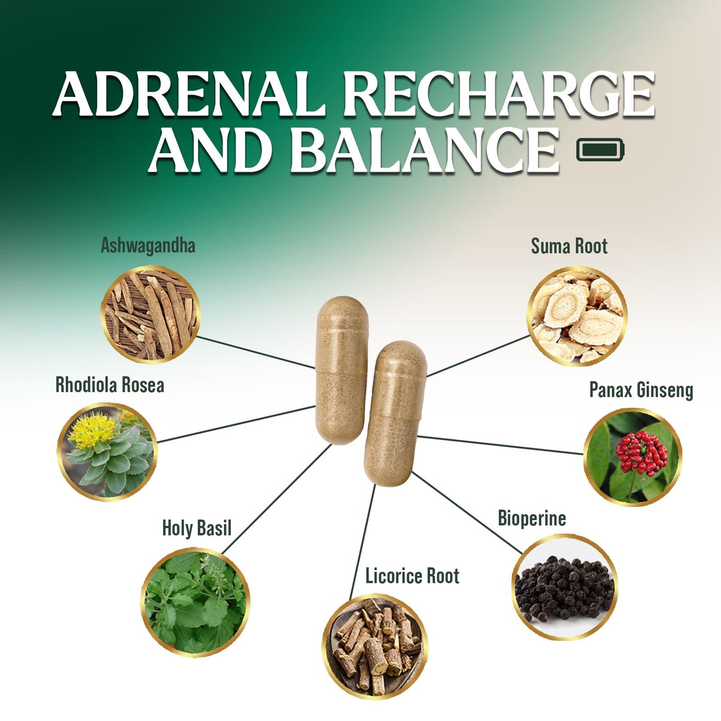 Nature's Nutrition Ashwagandha and Rhodiola capsules bottle side view